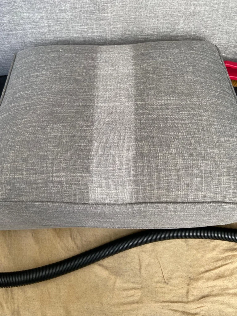 Upholstery Sofa cleaning cushion demonstration