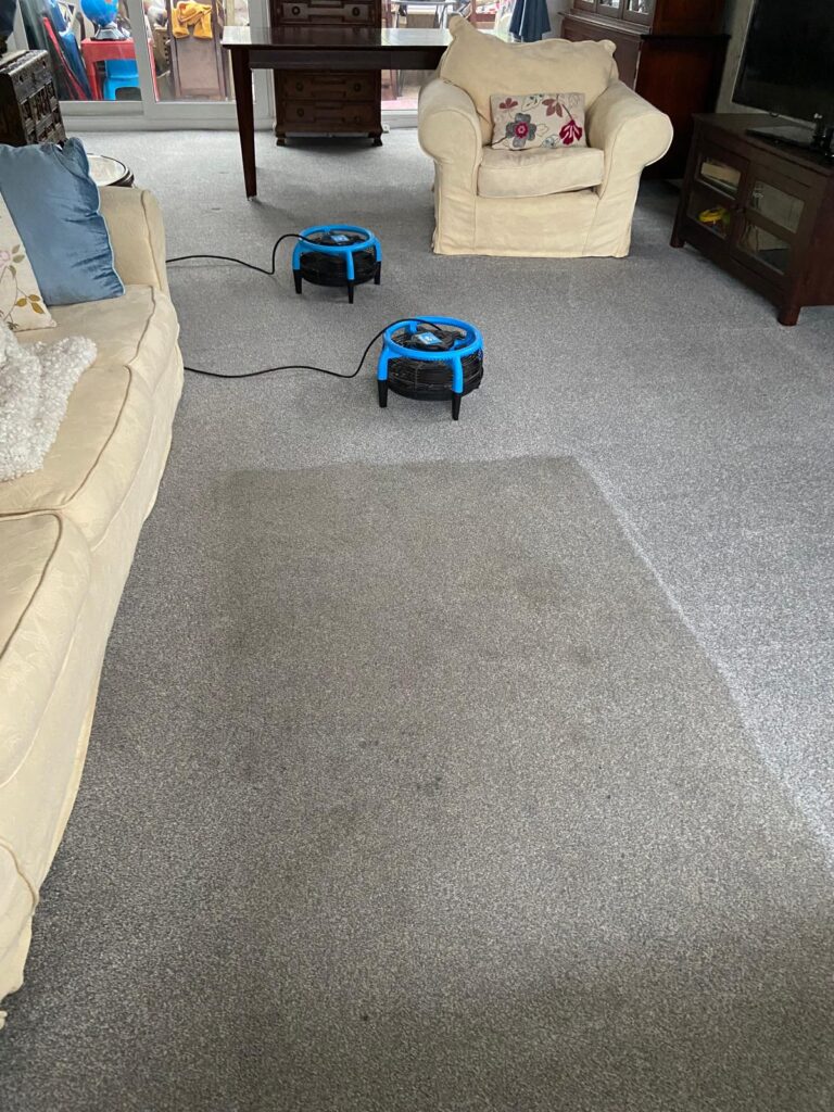 Carpet cleaning drying demonstration