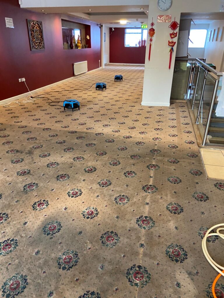 Large carpet in a restaurant before and after cleaning